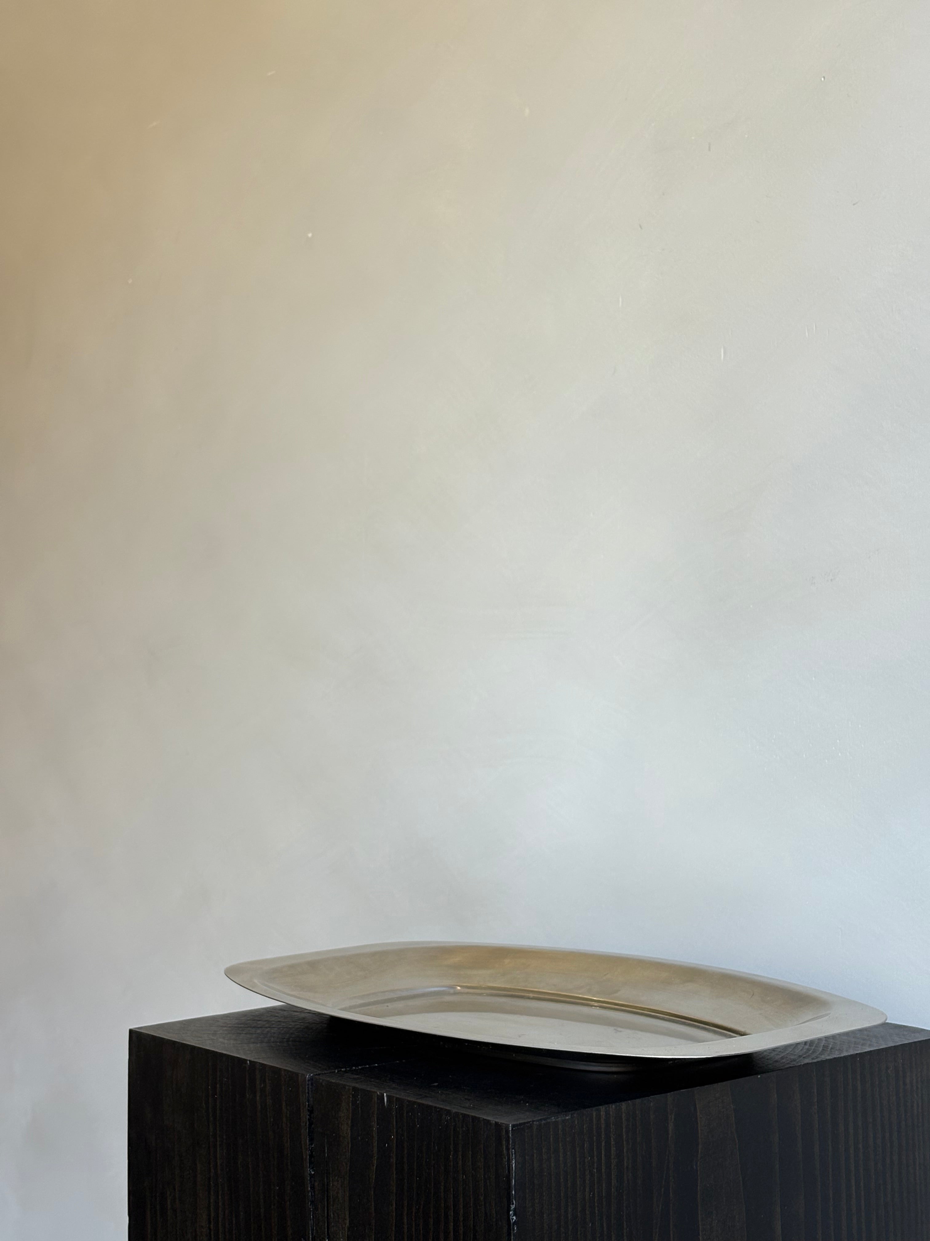 STAINLESS TRAY