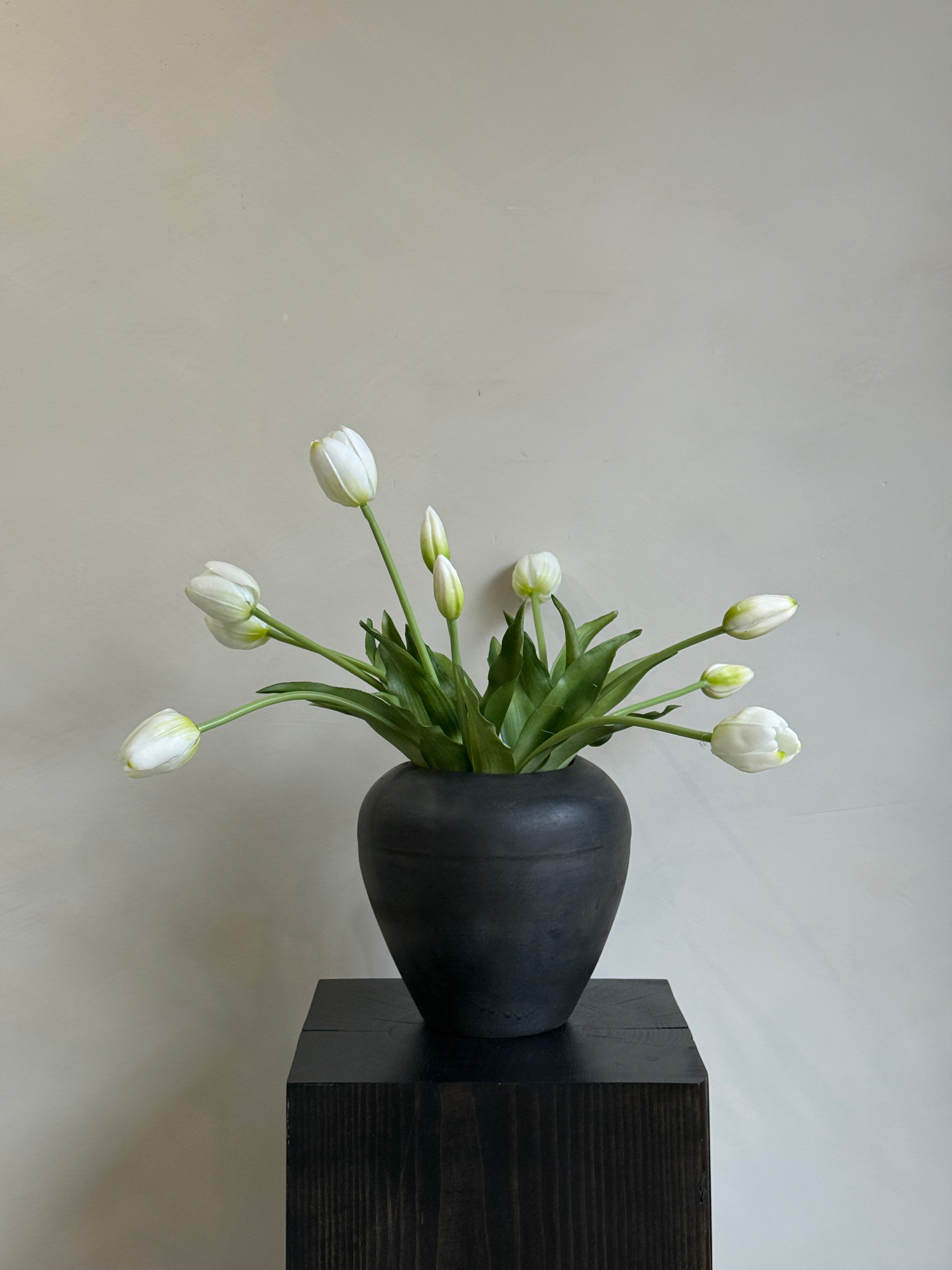 White Tulips