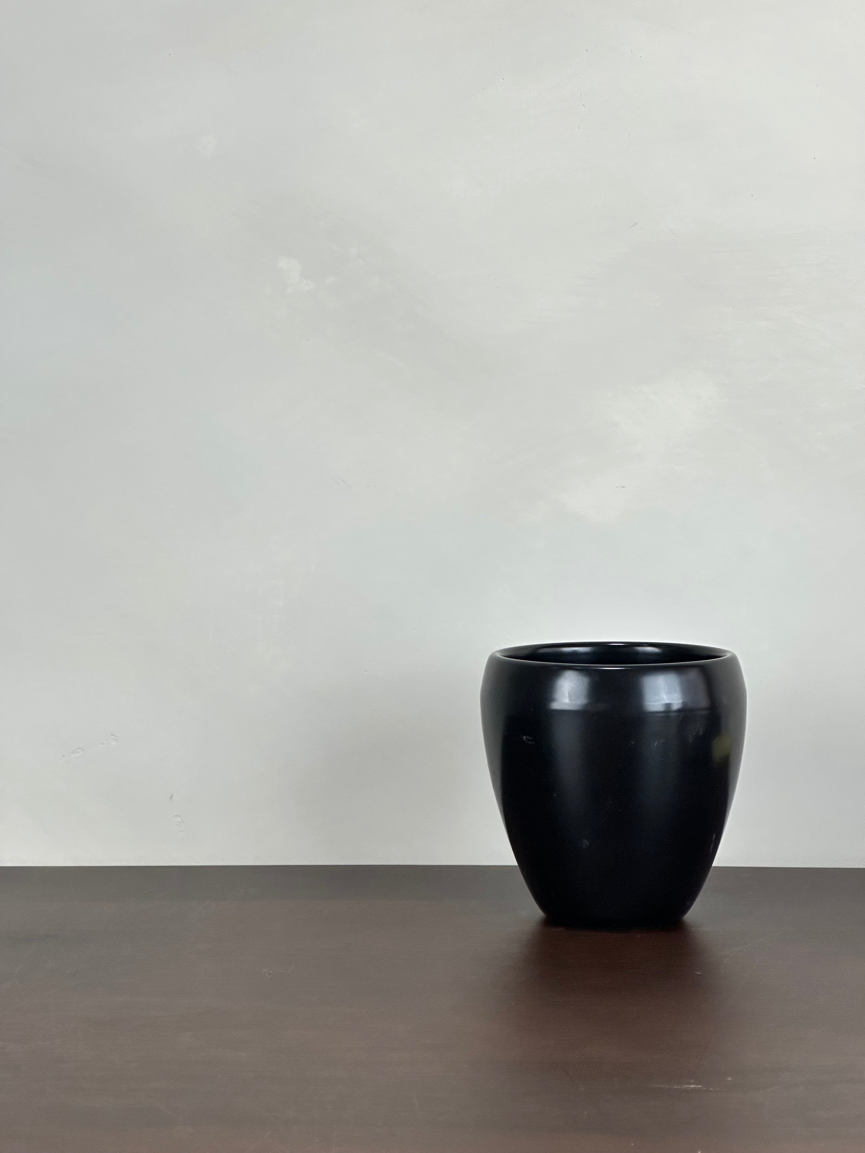 BLACK POT
