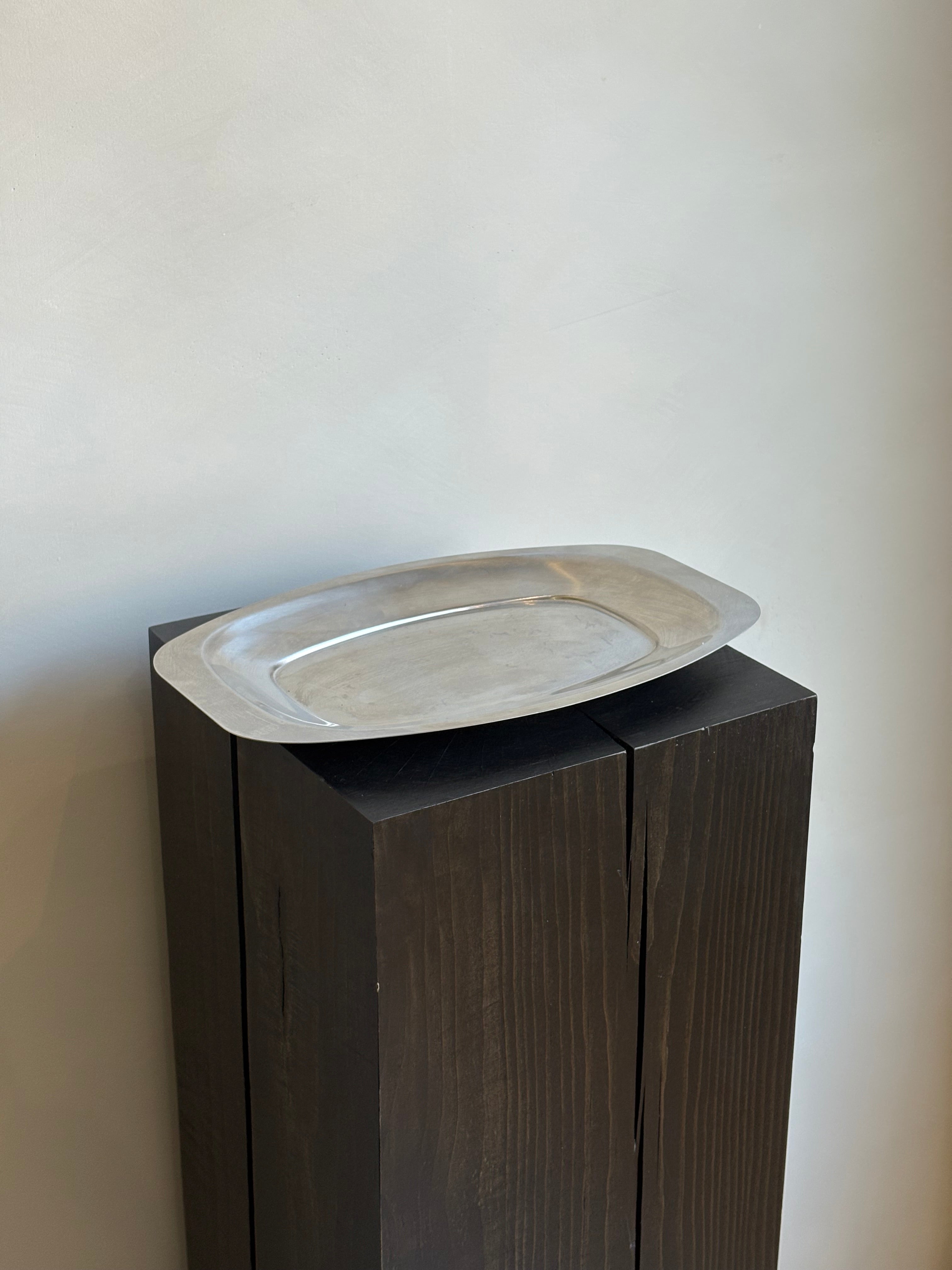 STAINLESS TRAY