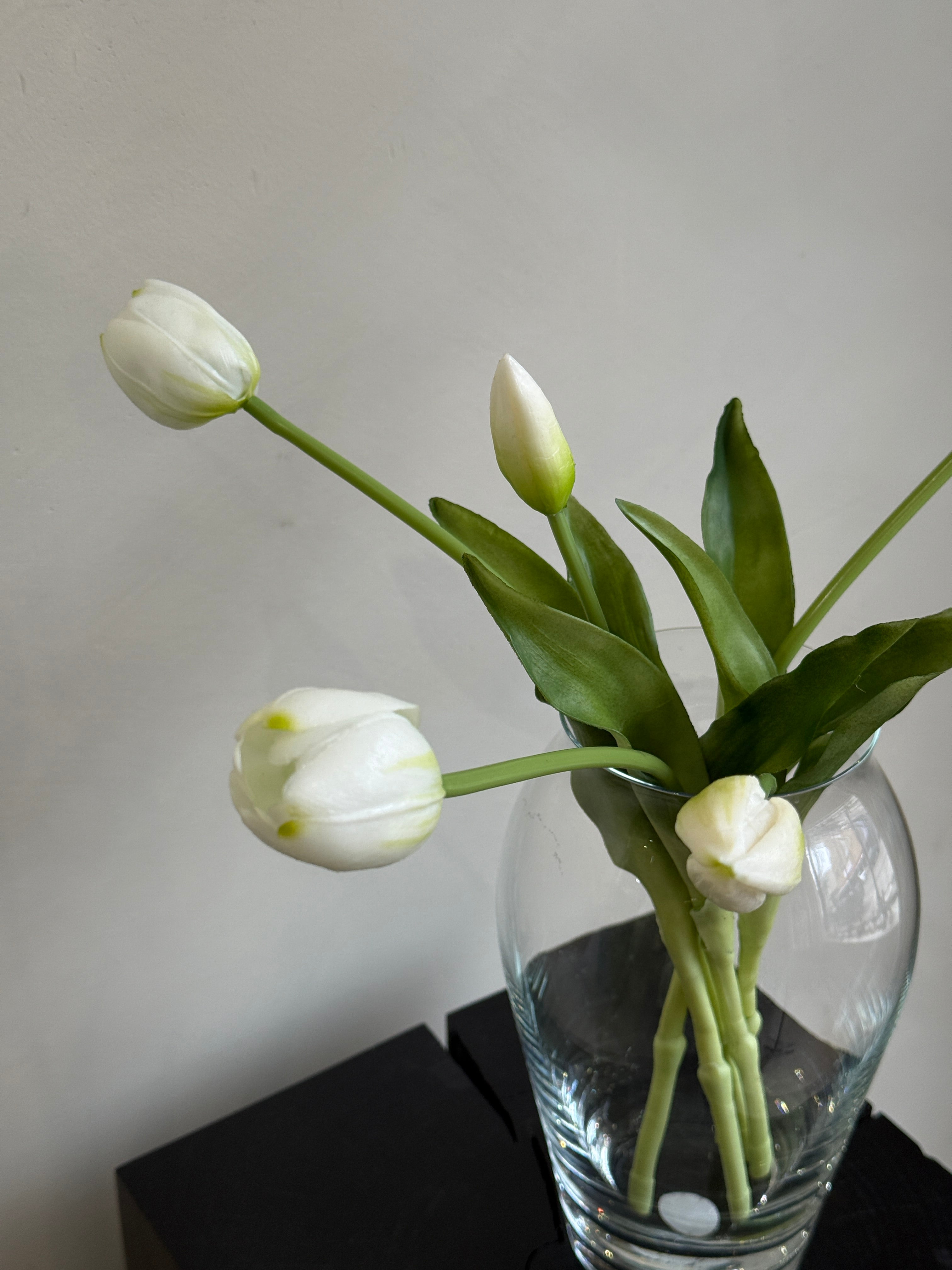 White Tulips