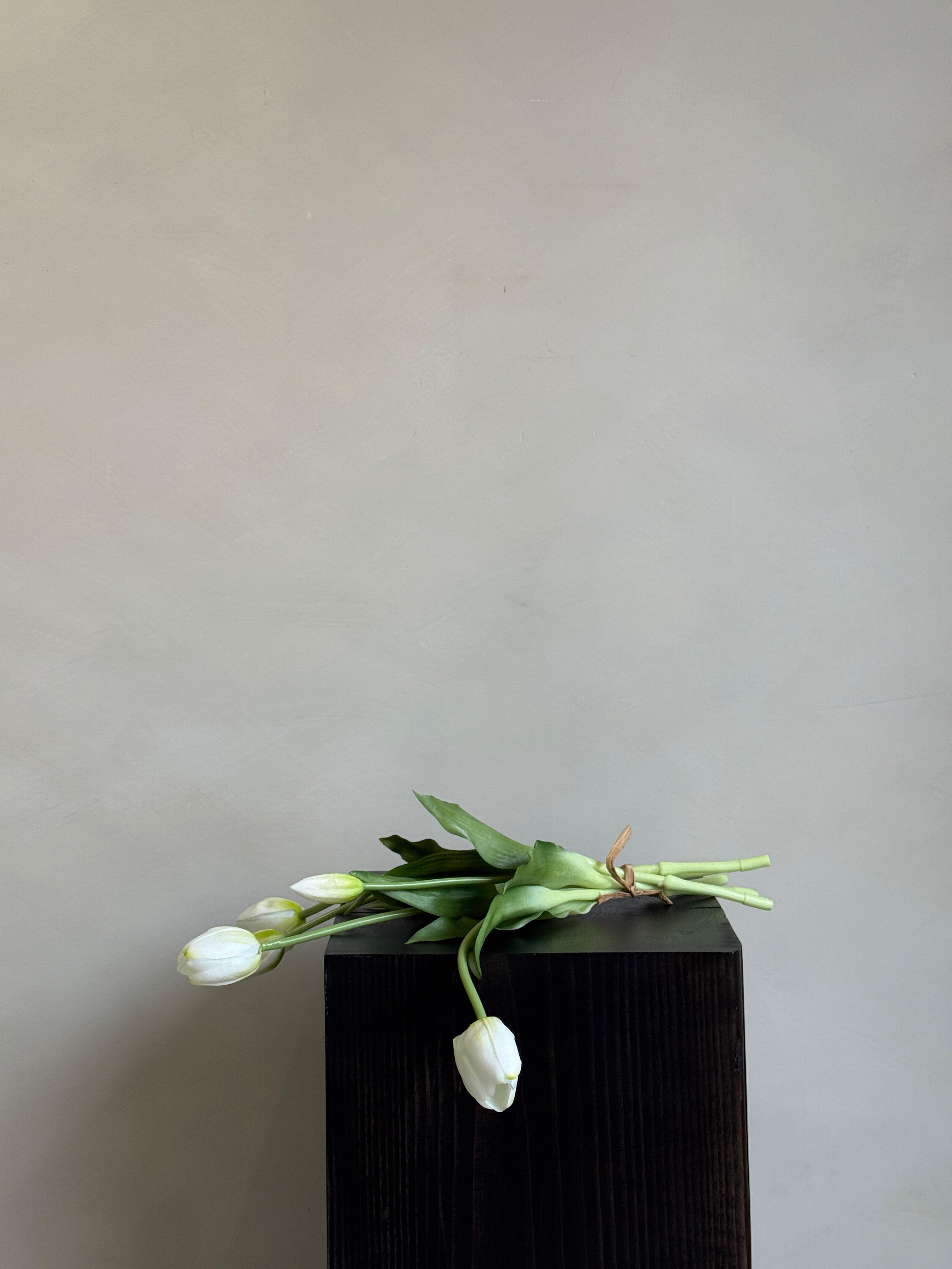 White Tulips