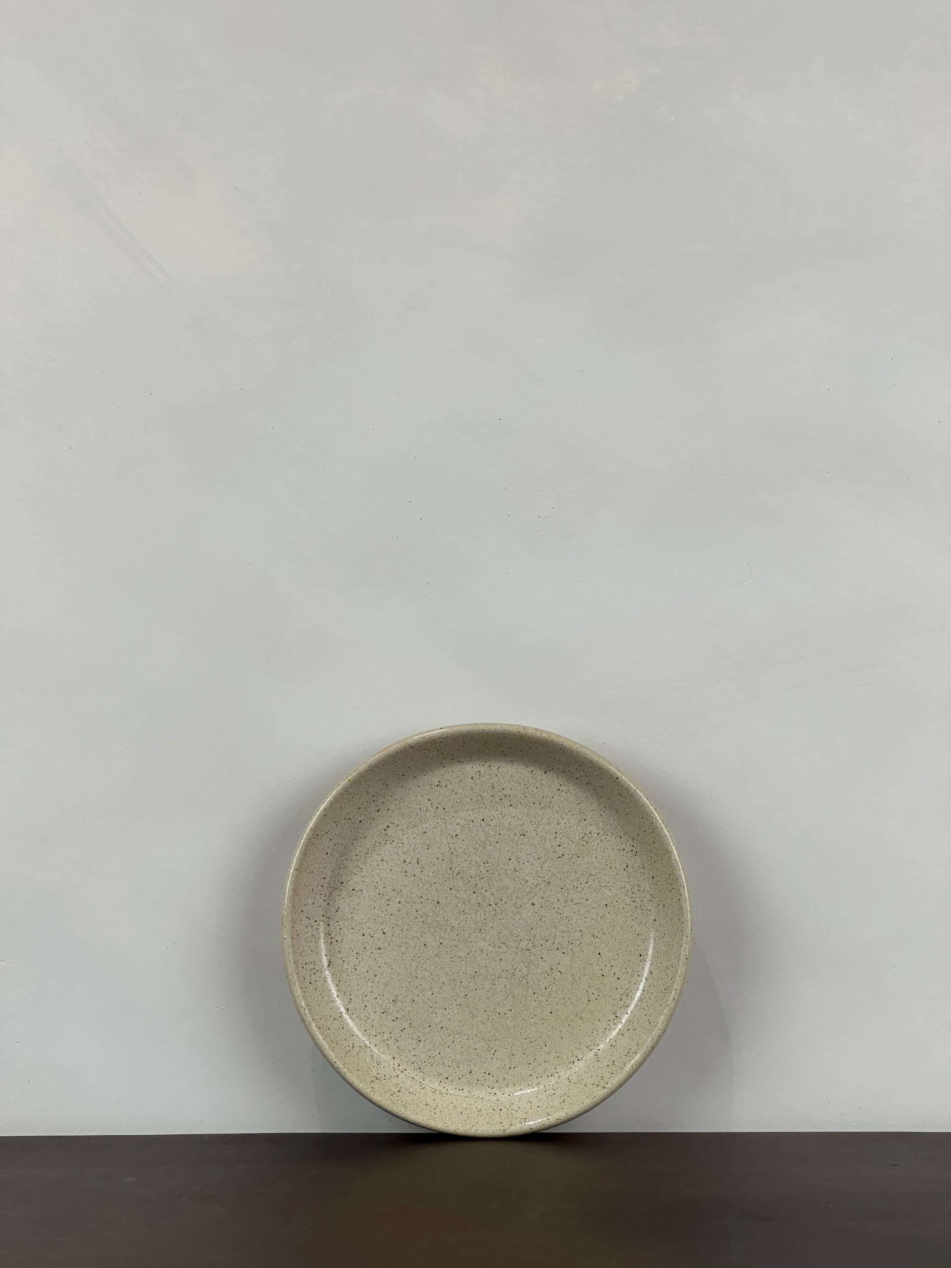 SPECKLED CERAMIC PLATE