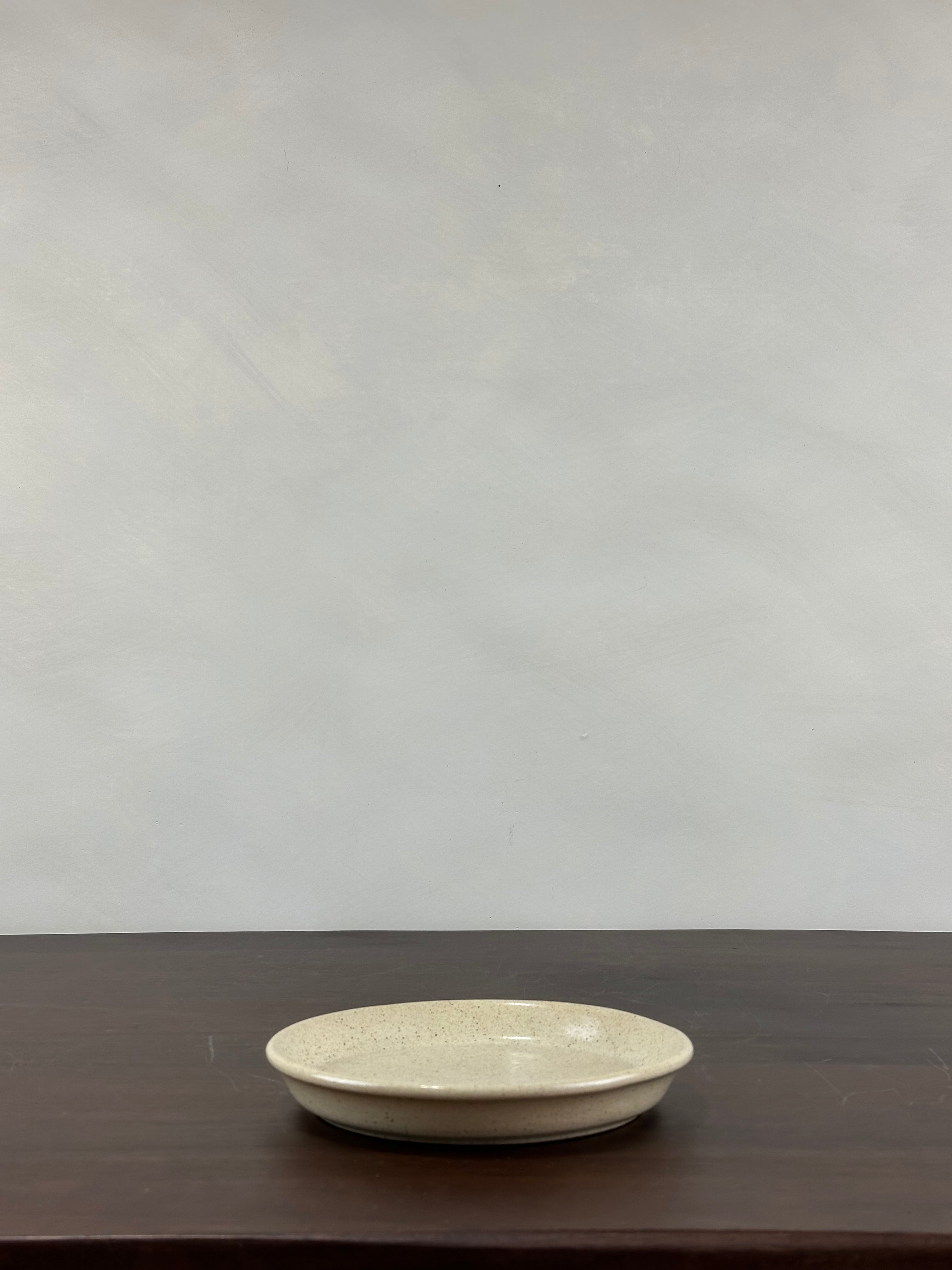SPECKLED CERAMIC PLATE