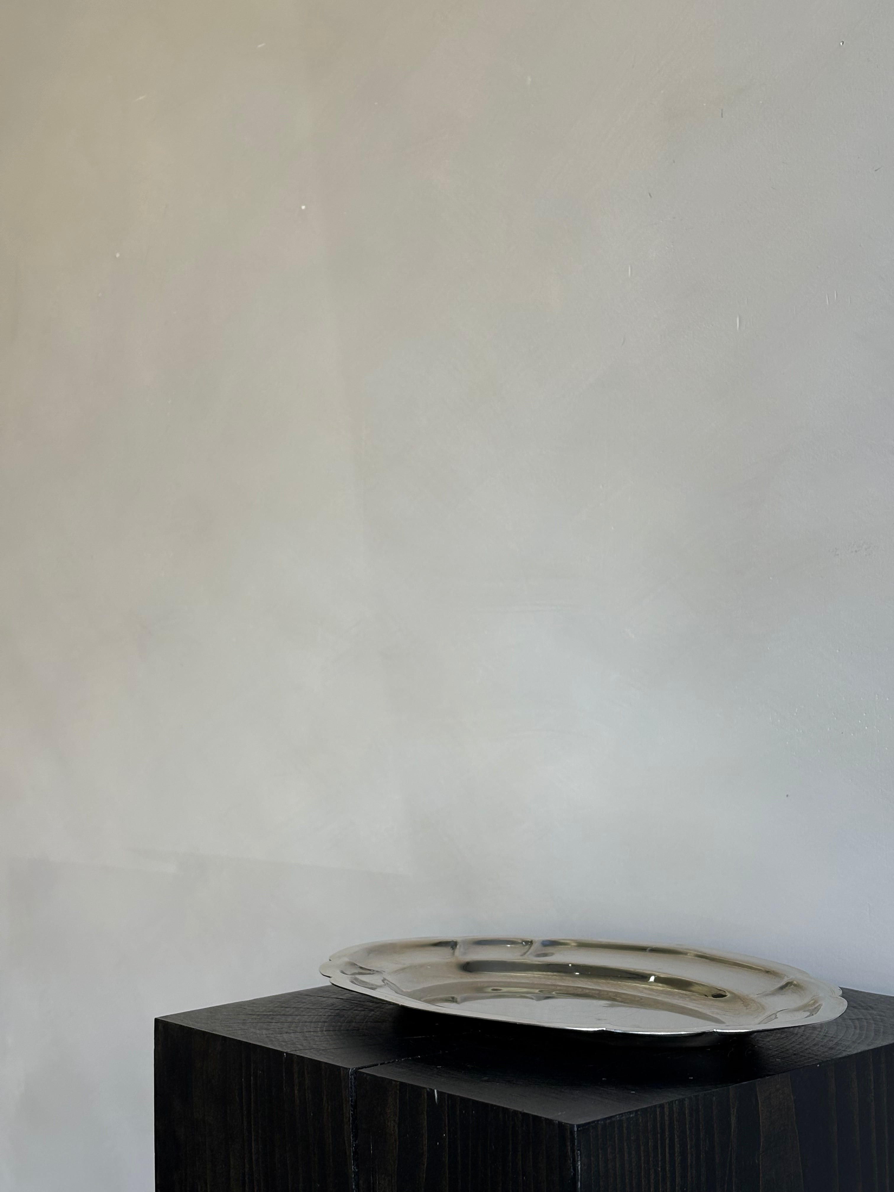 SMALL STAINLESS SERVING TRAY