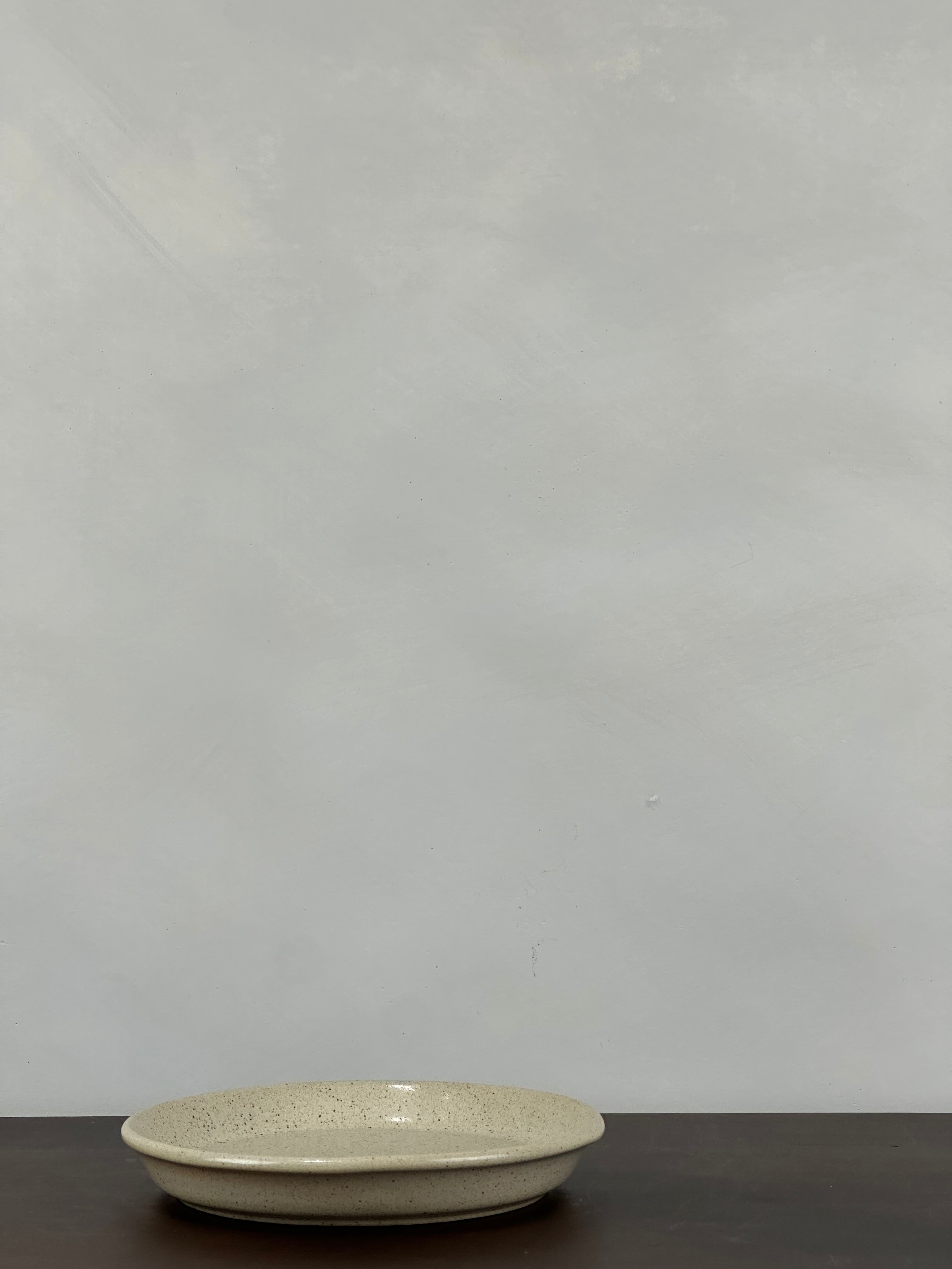 SPECKLED CERAMIC PLATE