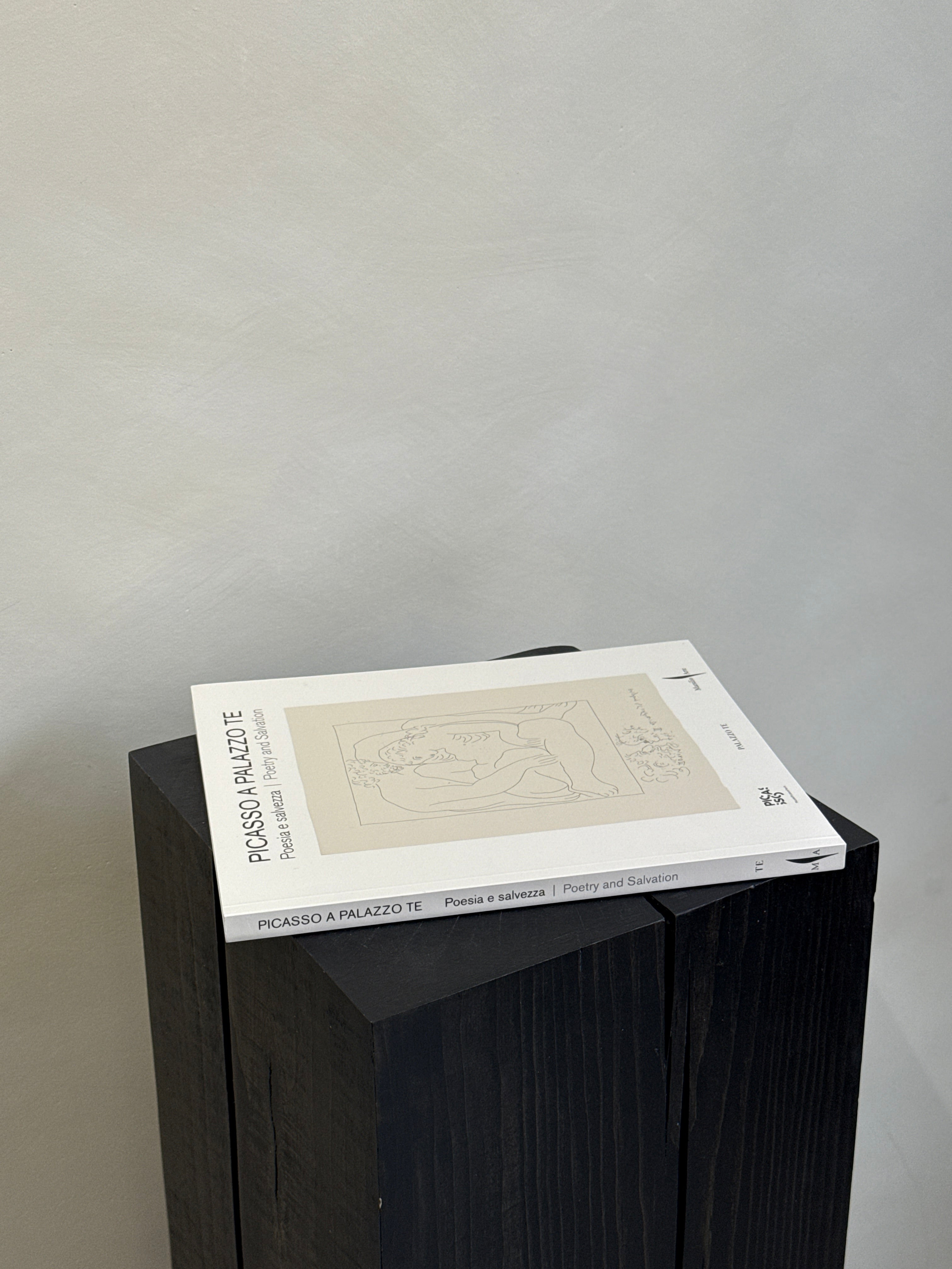 Picasso a Palazzo Te