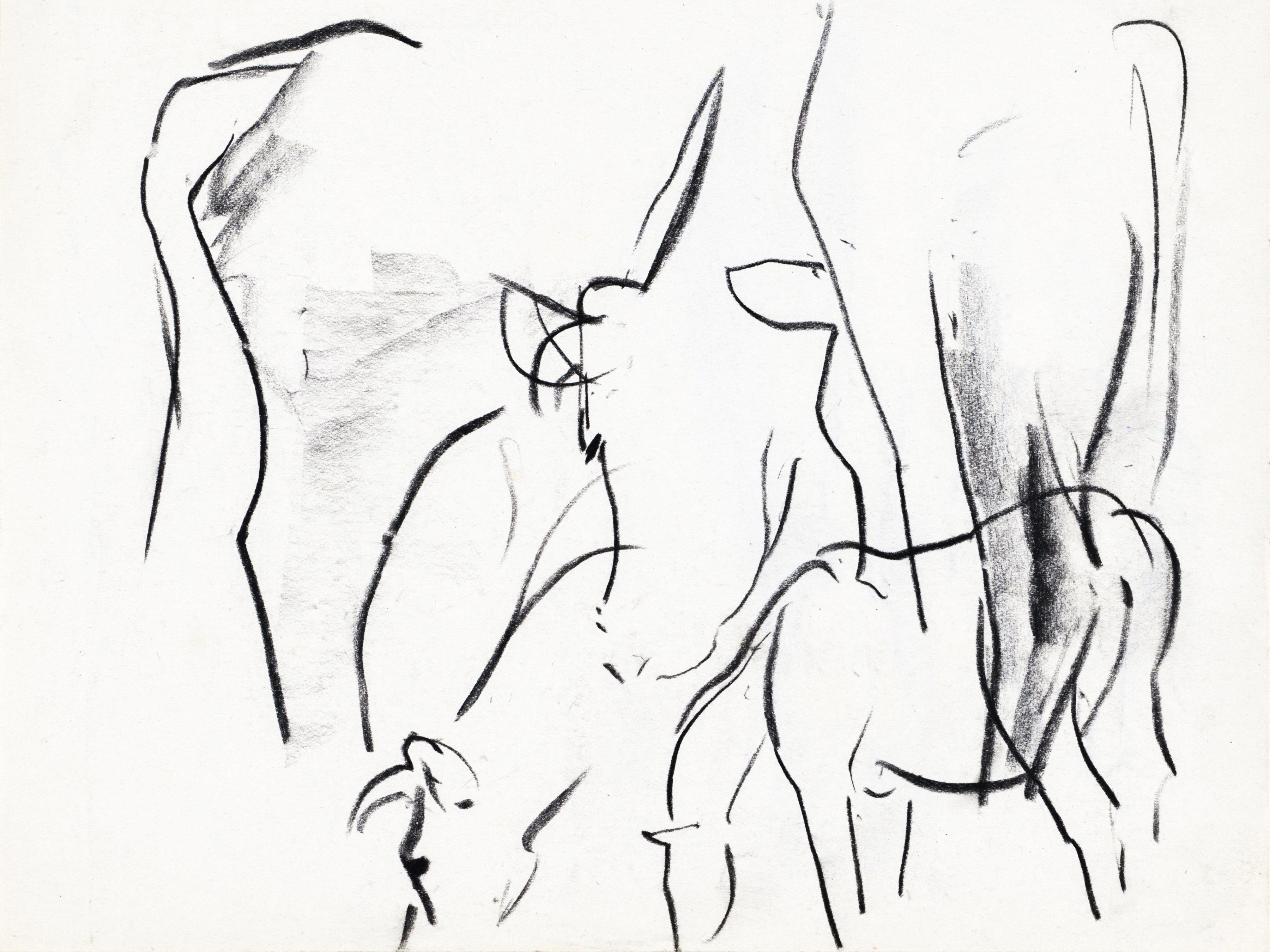 COW DRAWING | VINTAGE PRINT
