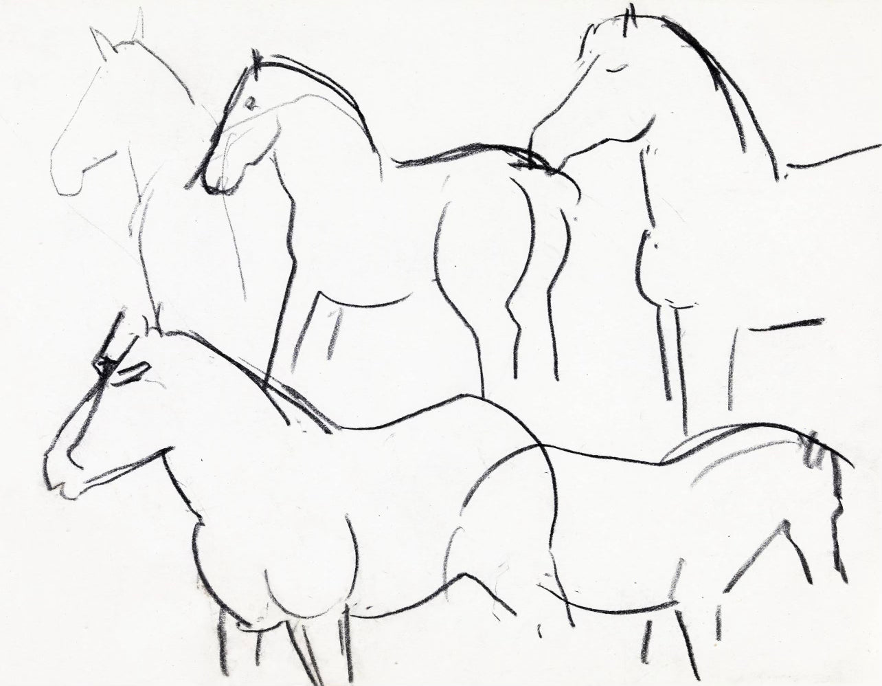 HORSE DRAWING | VINTAGE PRINT