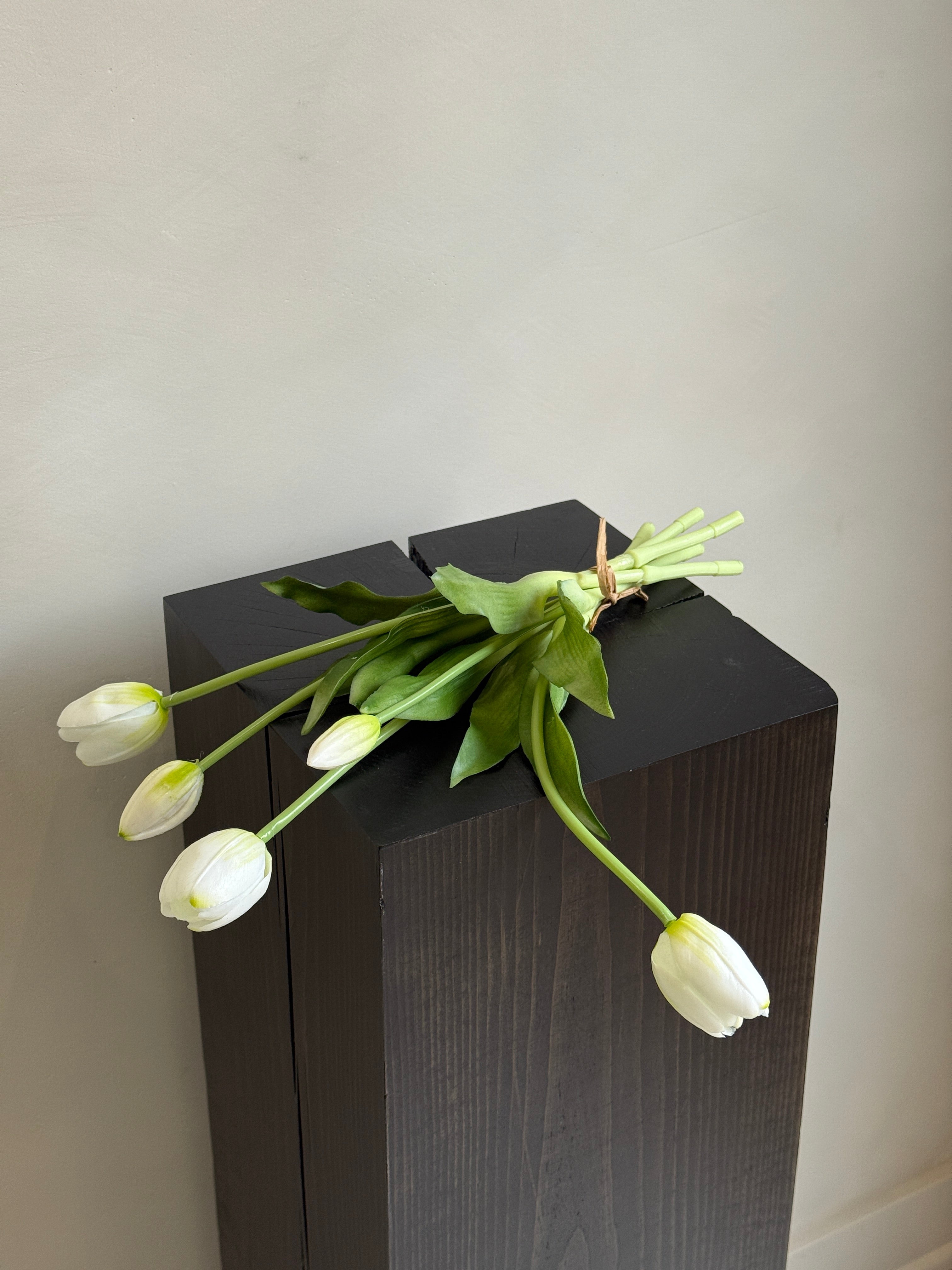 White Tulips