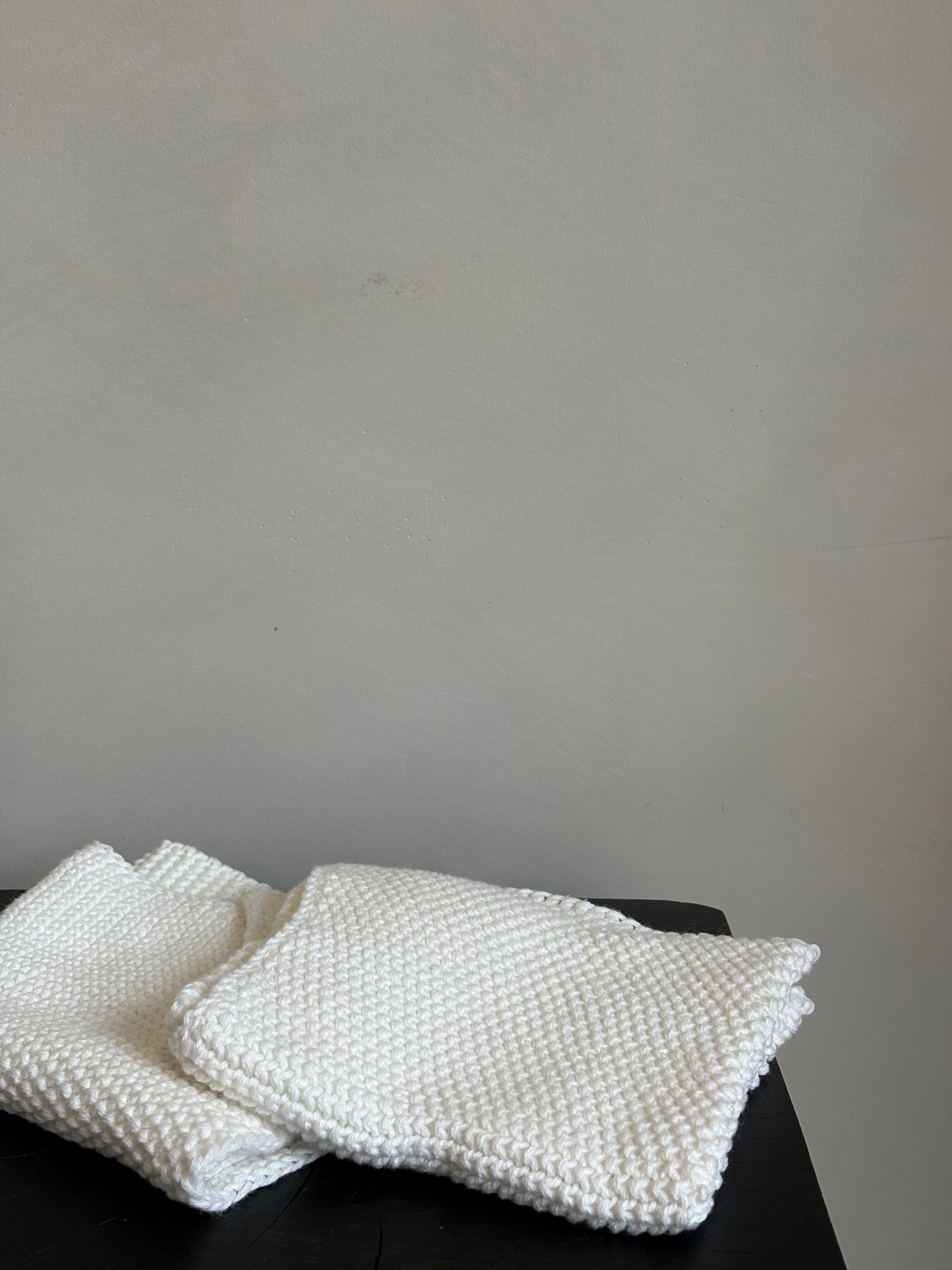 JANETTE DISH CLOTH | S/2