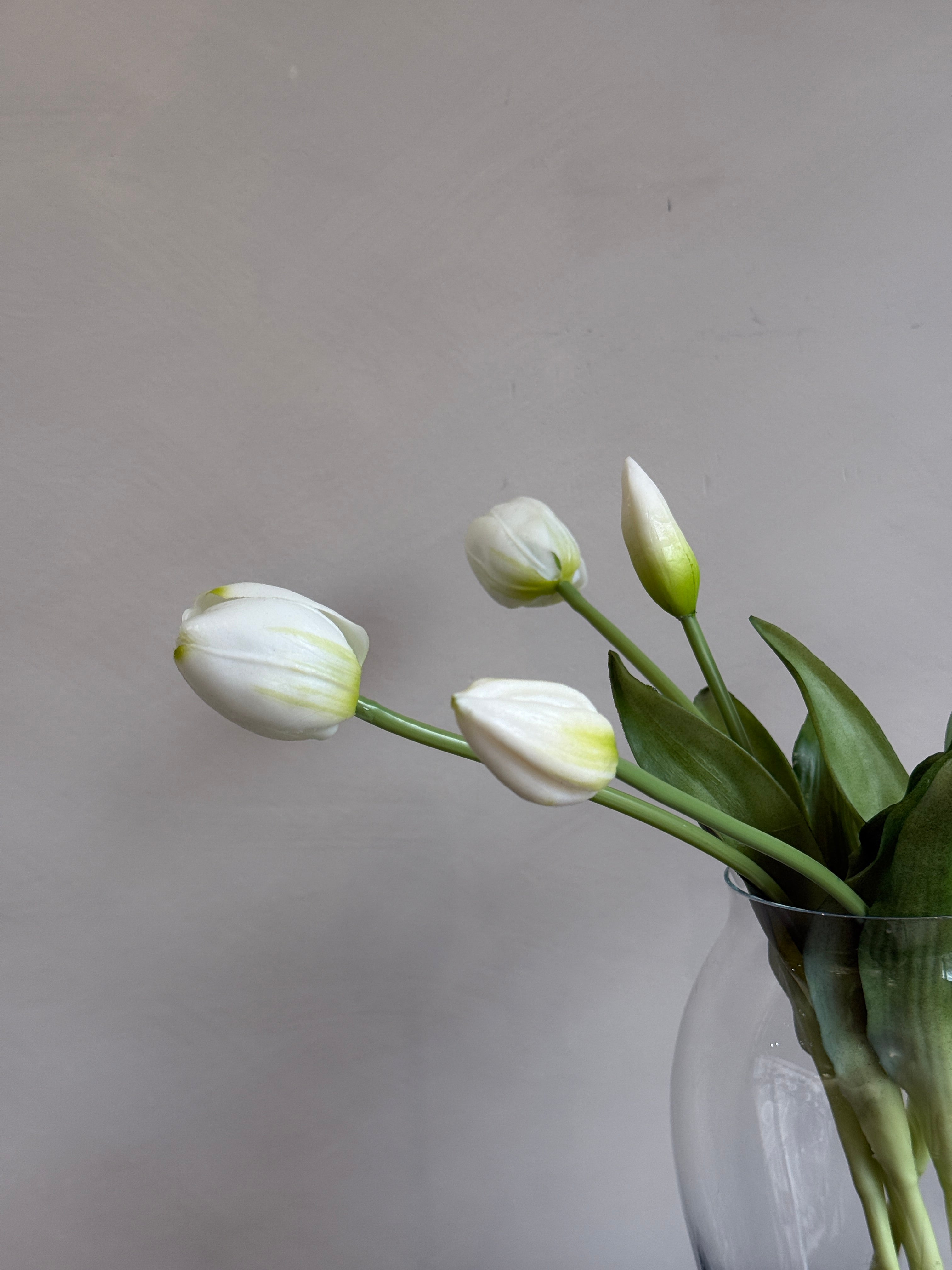 White Tulips