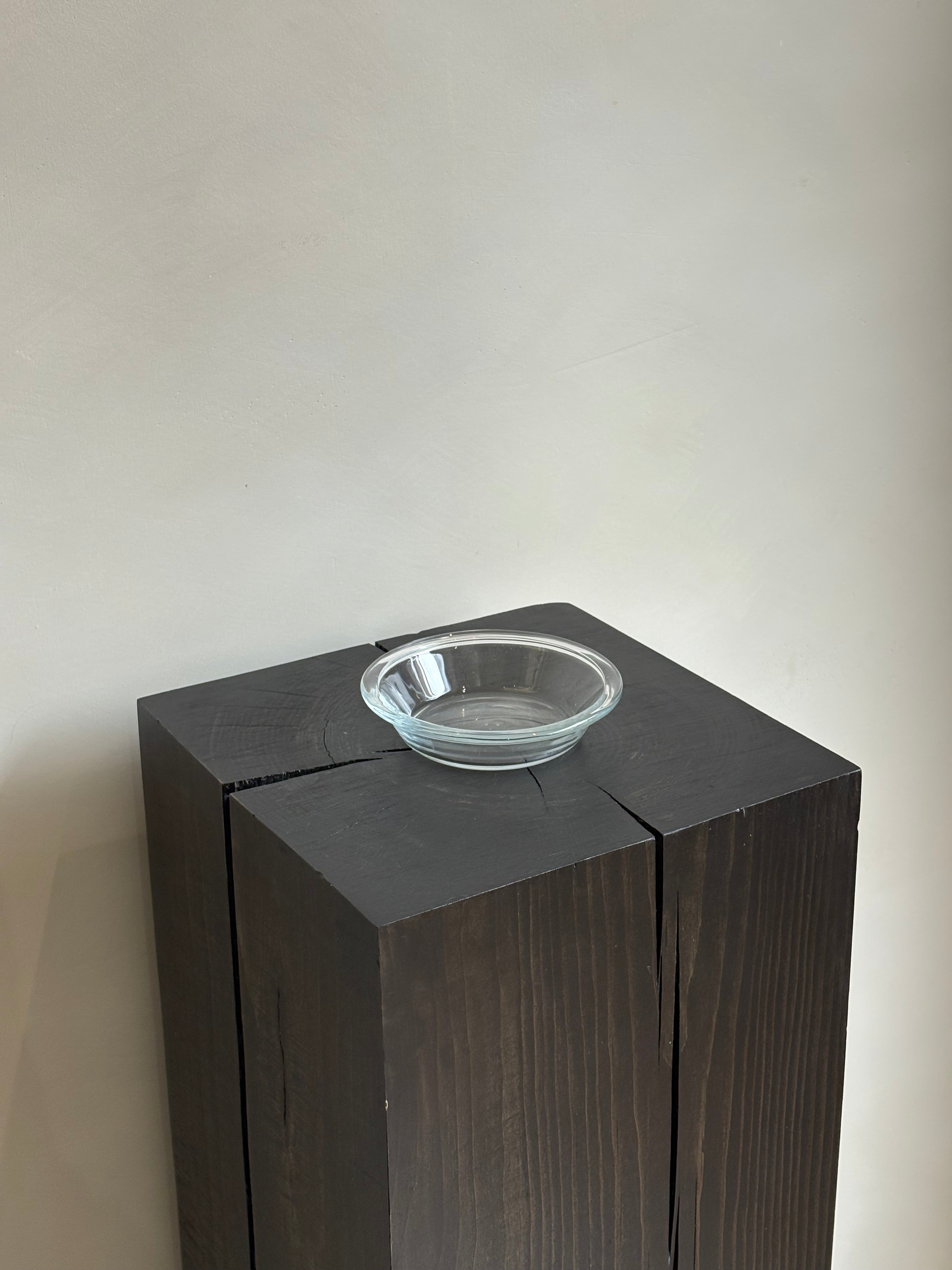 CLEAR SHALLOW BOWL