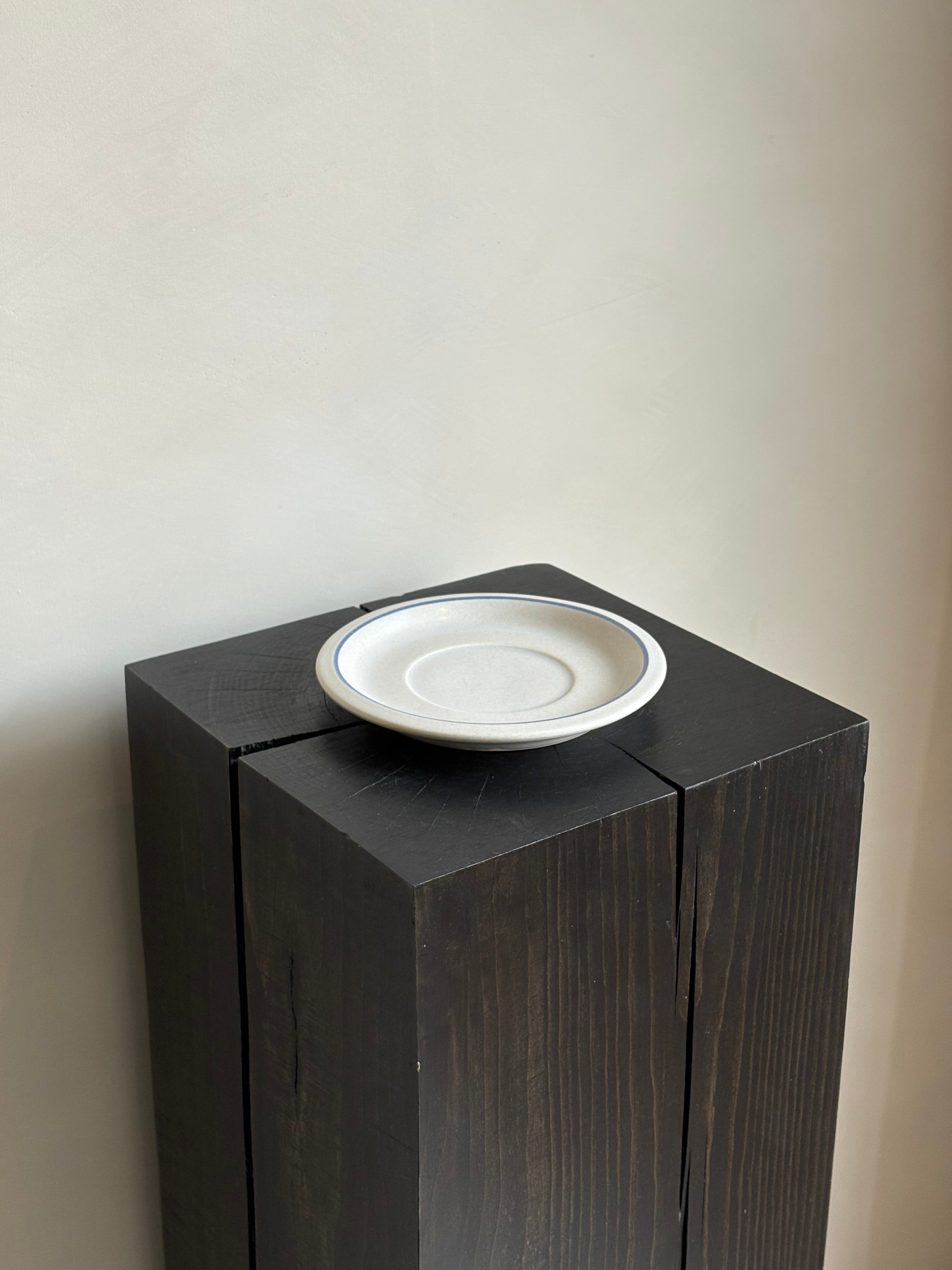 BLUE RIMMED PLATE