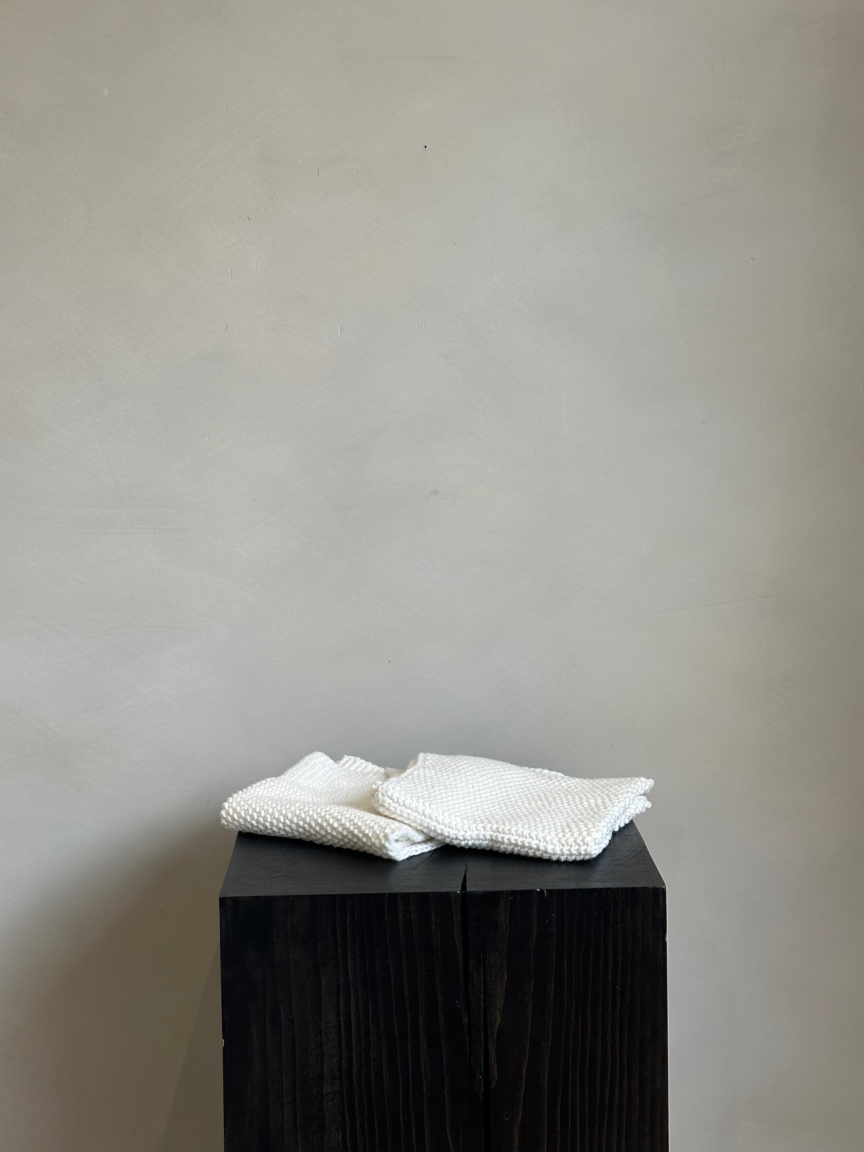 JANETTE DISH CLOTH | S/2