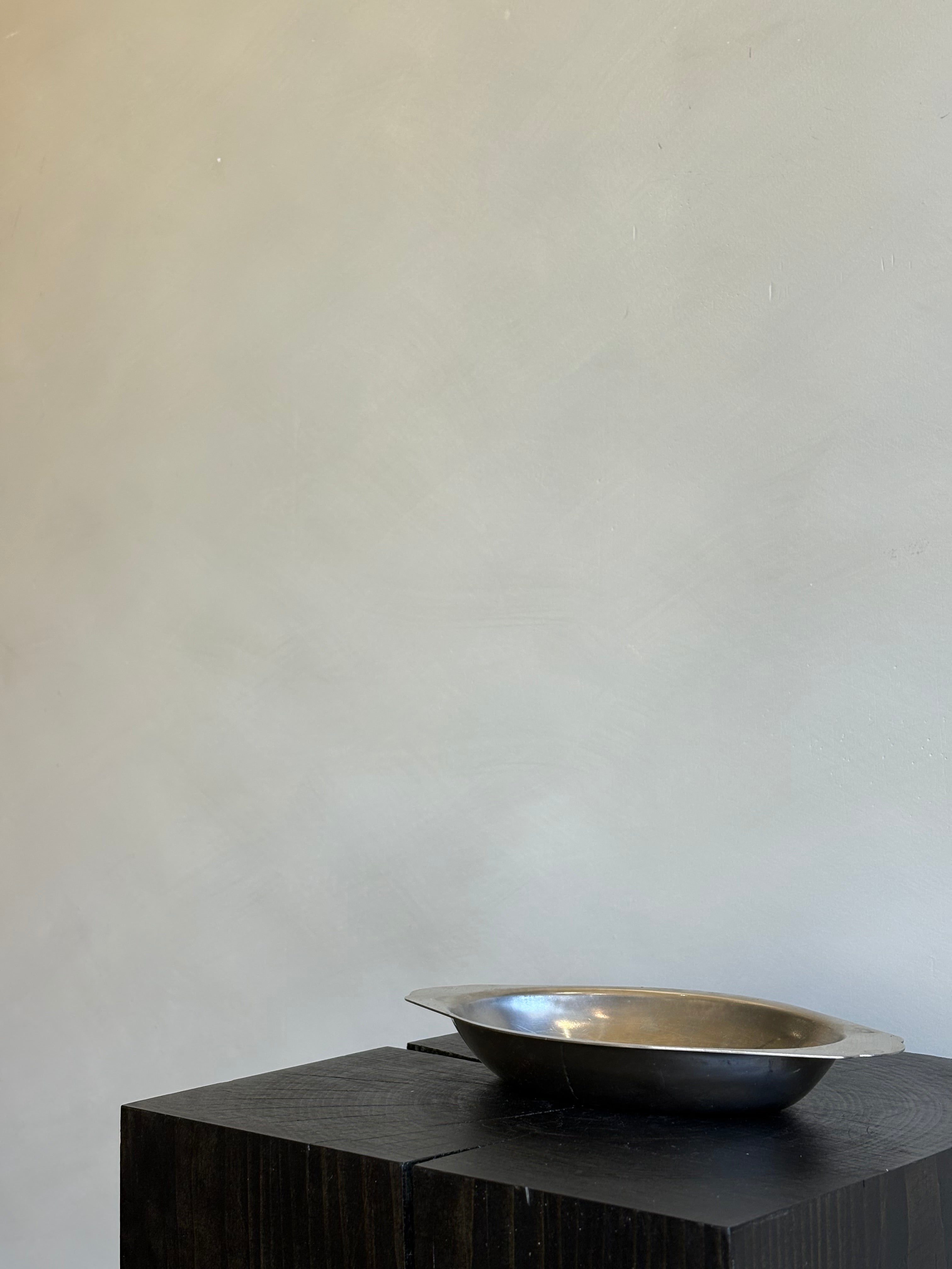 SMALL STAINLESS TRAY