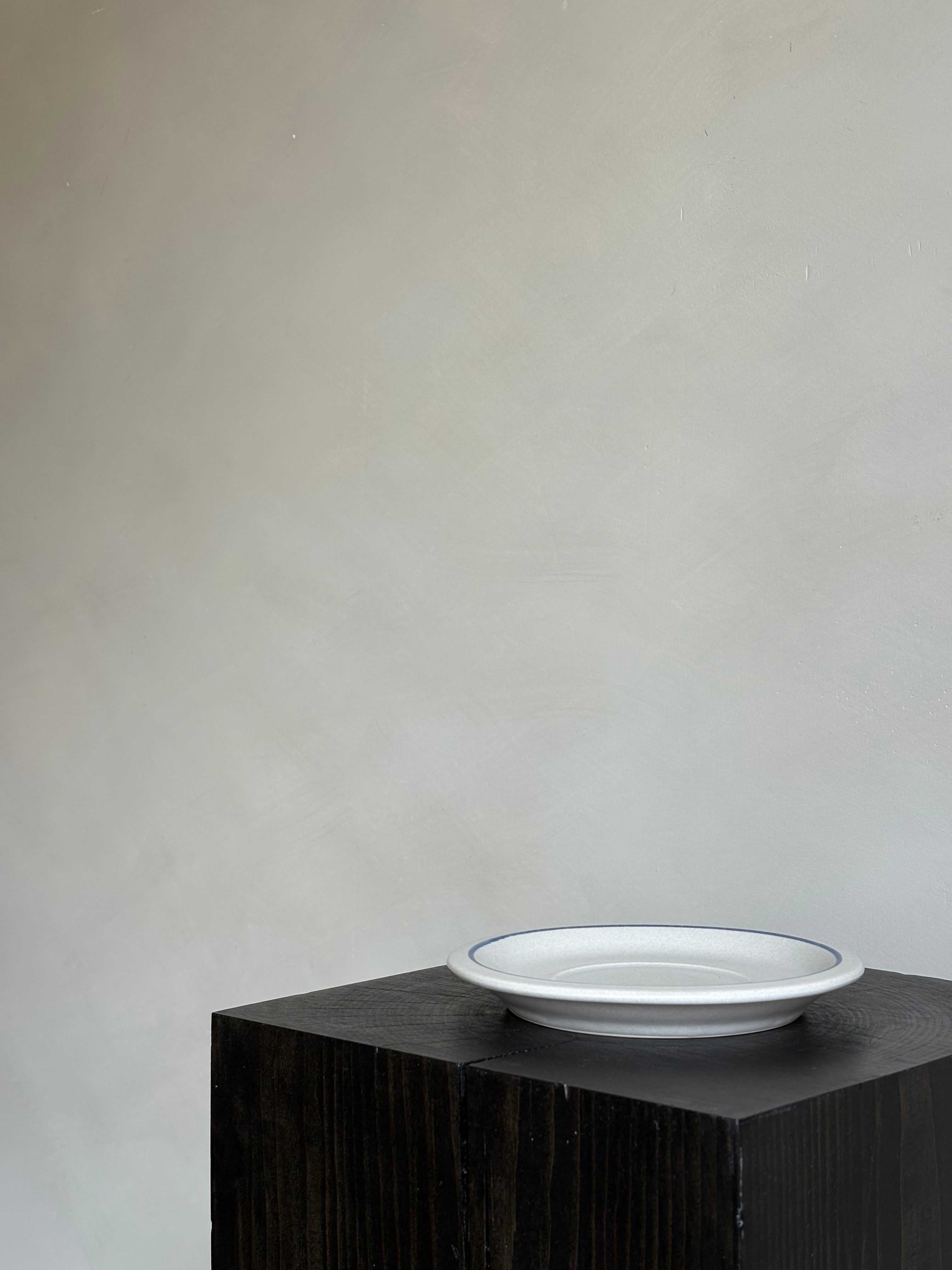 BLUE RIMMED PLATE