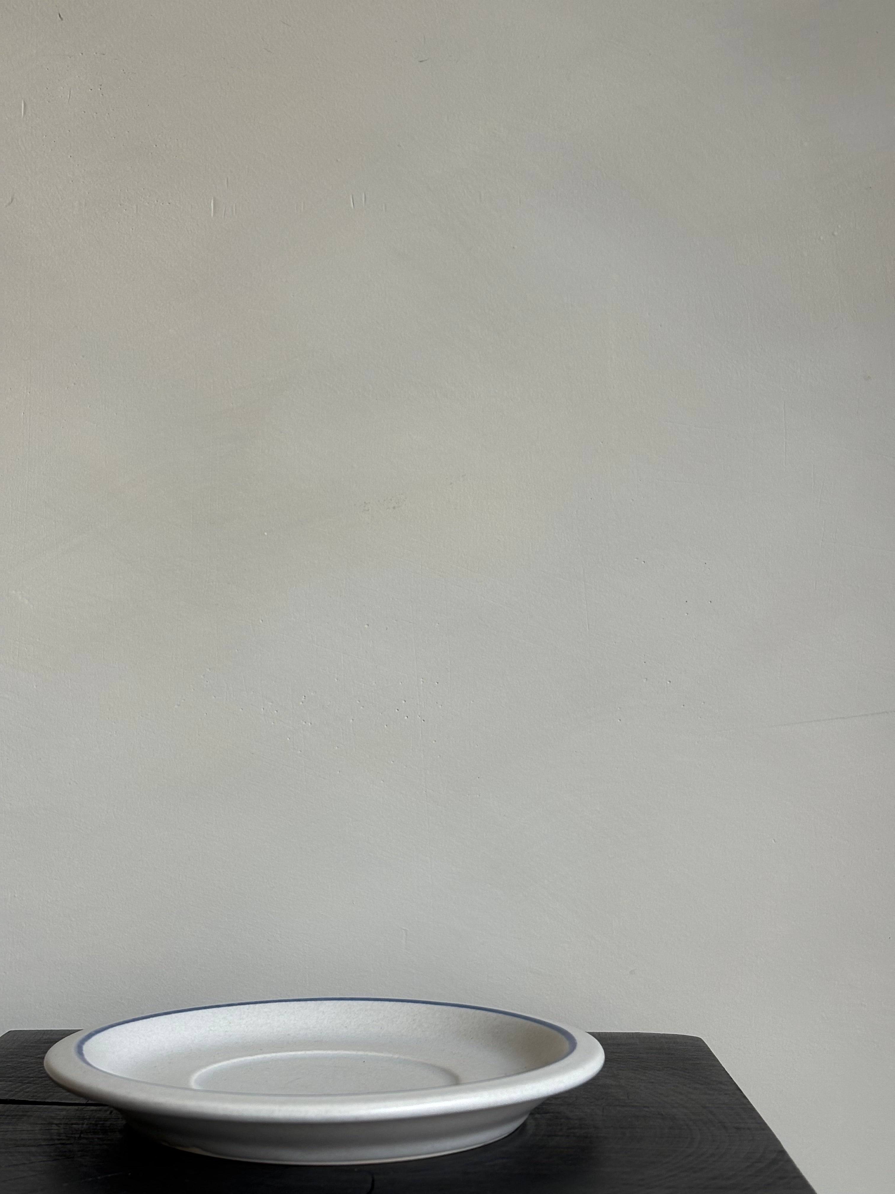 BLUE RIMMED PLATE