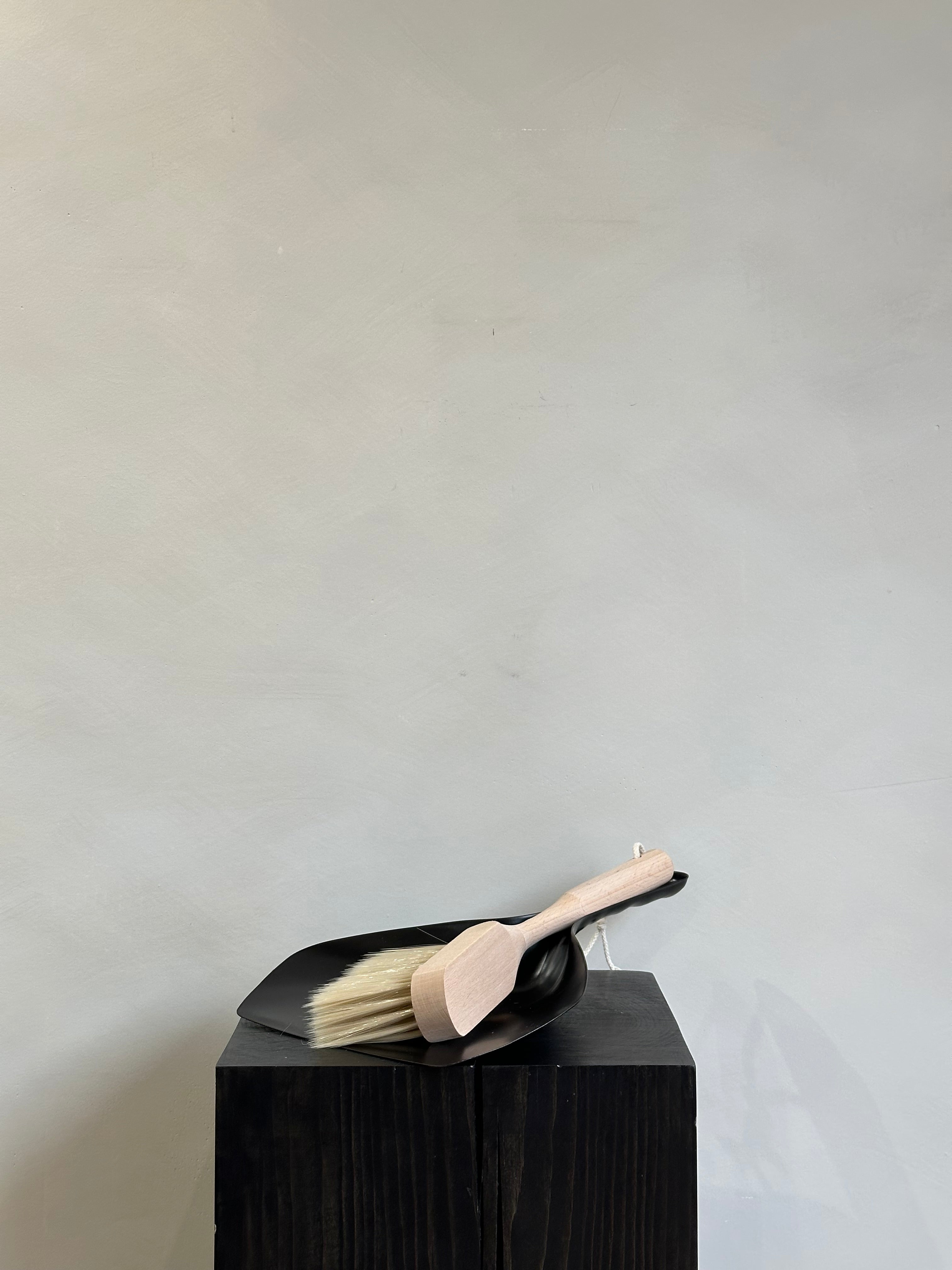 DUSTPAN + BROOM SET