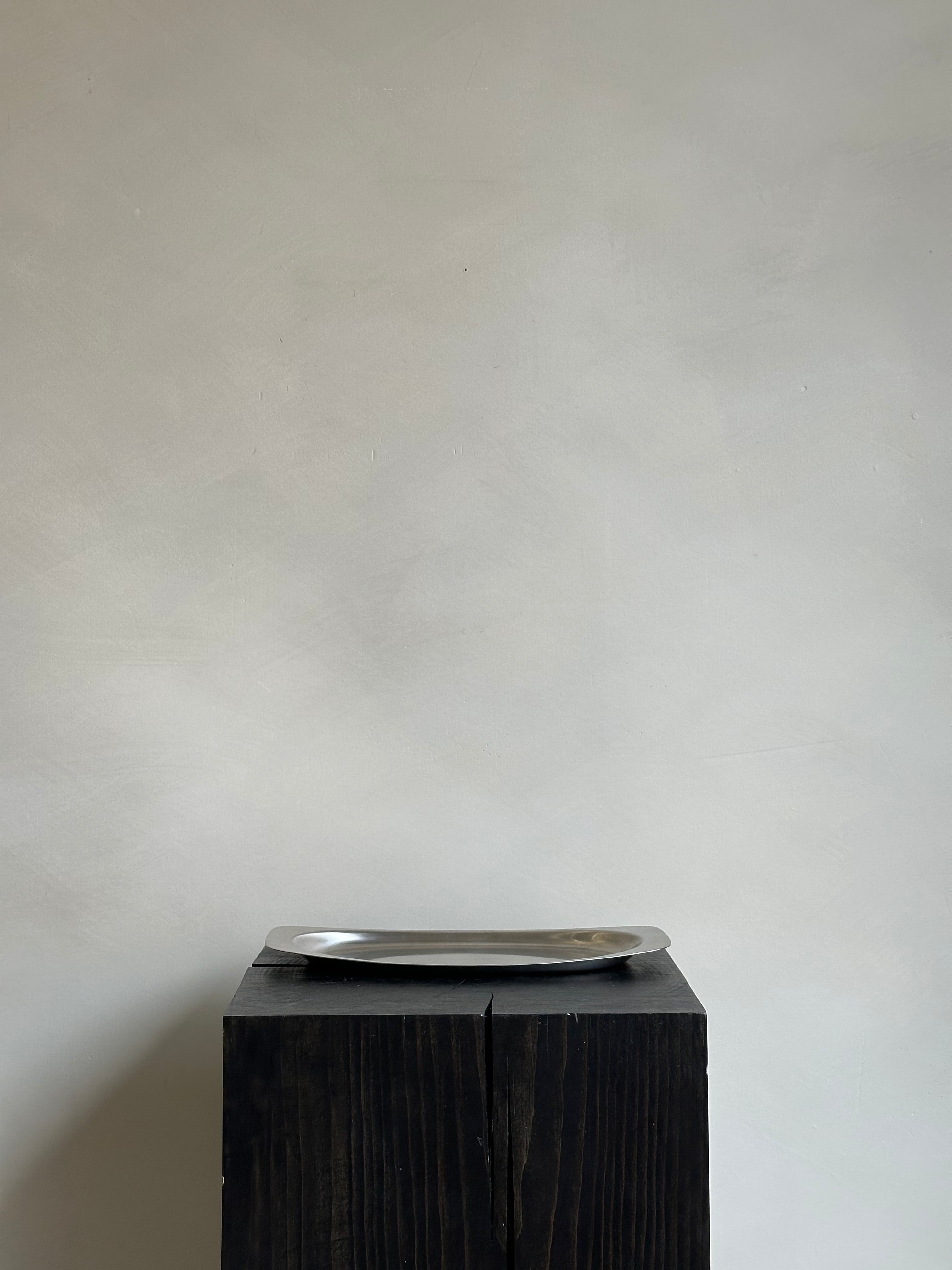 SMALL STAINLESS STEEL SERVING TRAY