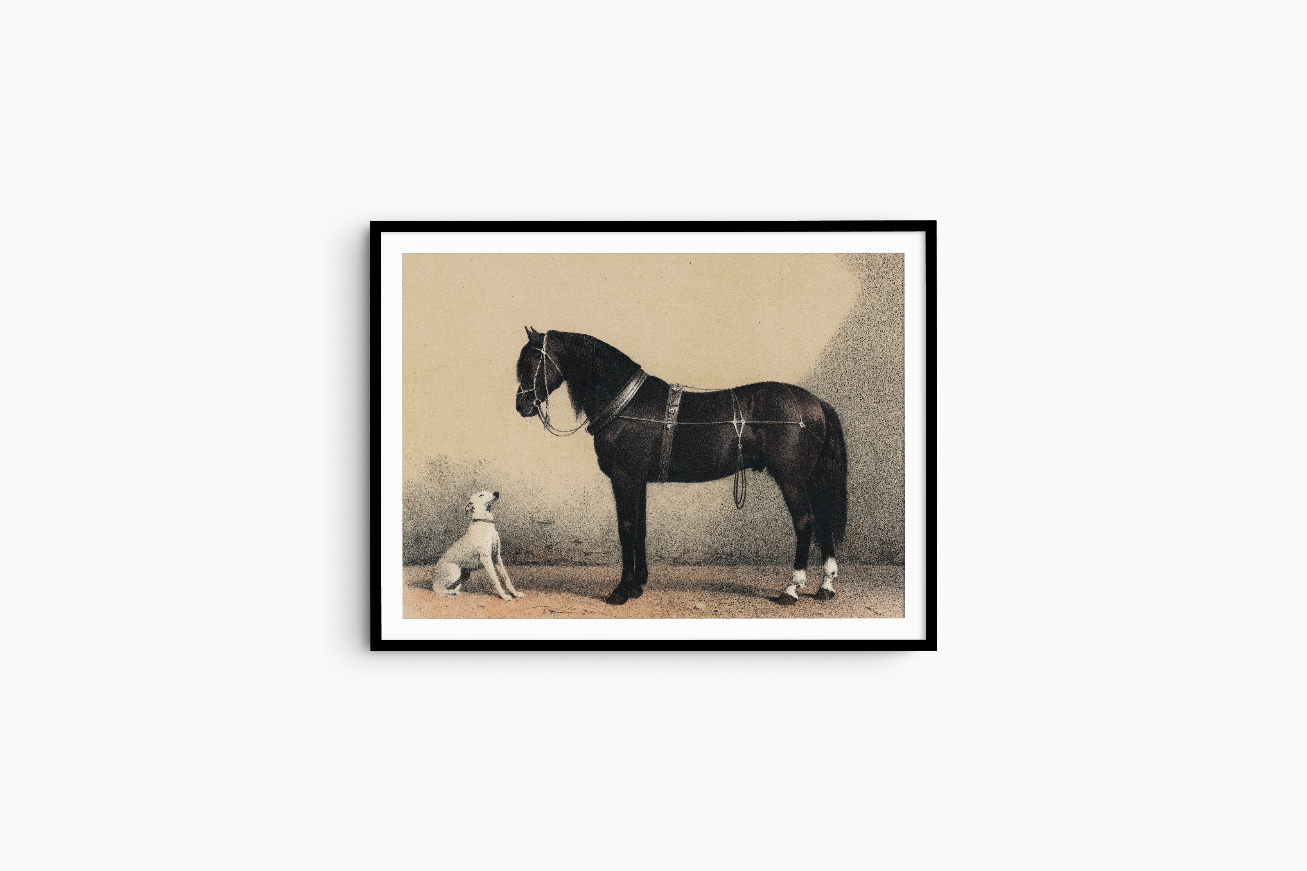 HORSE + DOG | VINTAGE PRINT