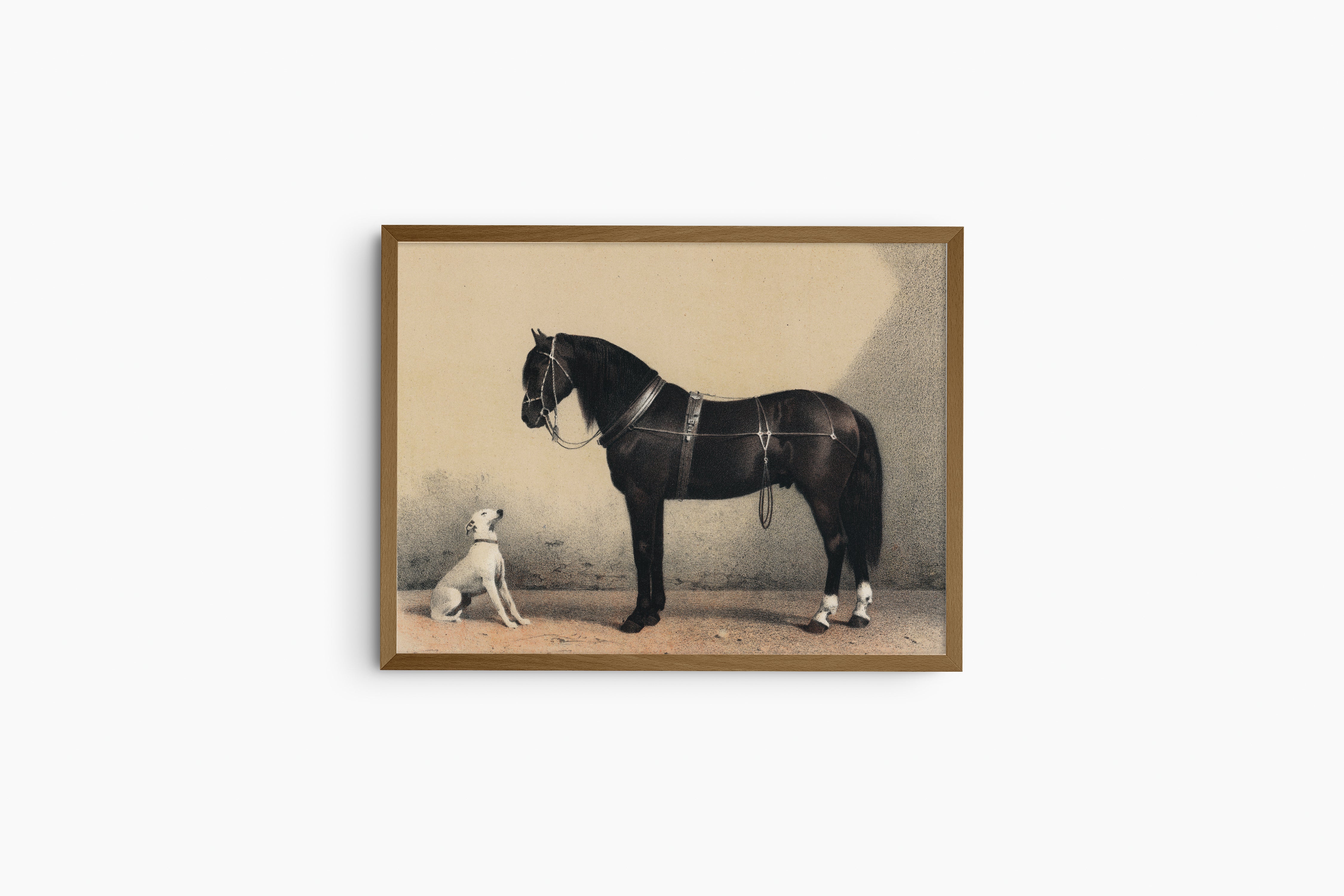 HORSE + DOG | VINTAGE PRINT